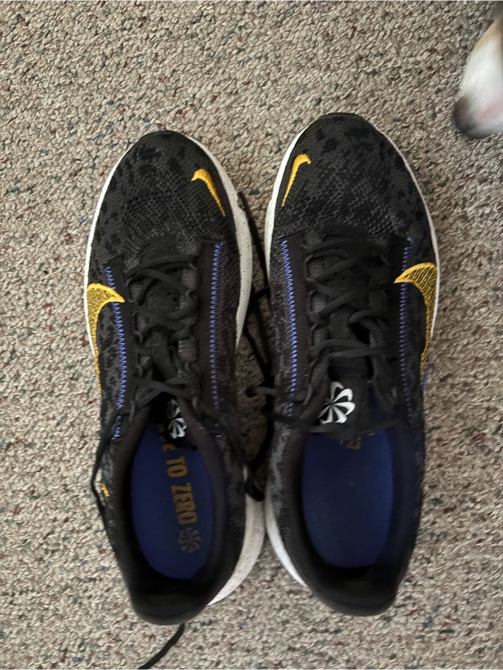 Nike Black & Gold Running Shoes